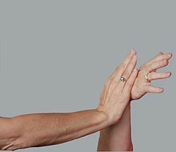 Two tai chi practitioners participate in Pushing hands, an exercise particularly involving the use of hand strength and flexibility Push Hands-close up.jpg
