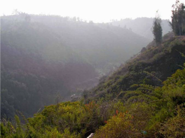 En el sector medio de la quebrada, se constituye un profundo cañón con laderas de una abundante vegetación y que superan los 100 m de desnivel.