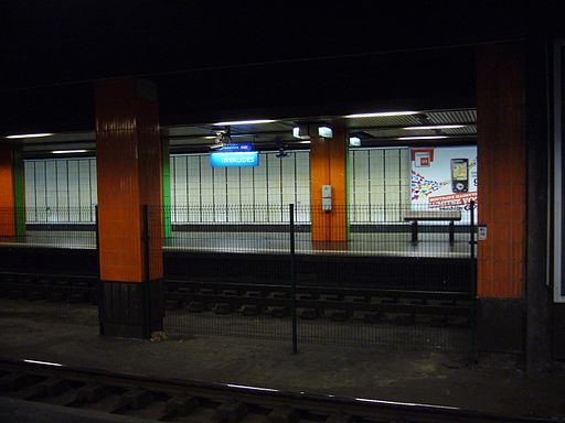 RER C - Gare des Invalides (4)