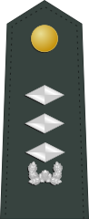 대위 (Daewi)South Korean marine force