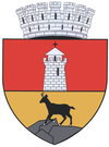 Byvåpenet til Piatra Neamț