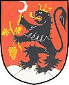 Brasão de armas de Radějov