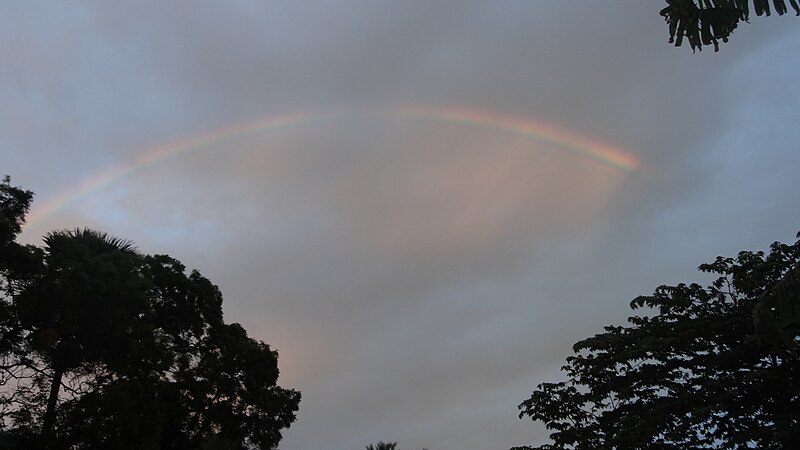 File:Rainbow in morning.JPG