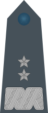 Rank insignia of generał dywizji of the Air Force of Poland.svg