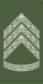 Rank insignia of sergent of the Royal Danish Army.svg