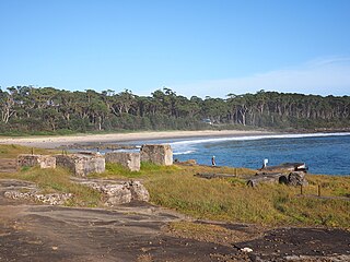 <span class="mw-page-title-main">Bawley Point</span> Place in New South Wales, Australia