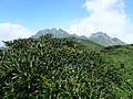 2018年6月1日 (金) 00:38時点における版のサムネイル