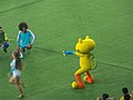 Rio 2016, Women's Football Final, Sweden vs. Germany (24).jpg