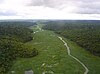 Rio Preto National Forest