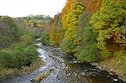 River Allen, aufgenommen von der Cupola Bridge in Whitfield - geograph.org.uk - 5753.jpg