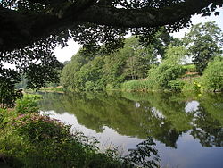 Rivière Teviot.JPG