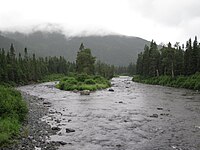 Rivière Cascapédia suite à la confluence du ruisseau aux Saumons, dans le parc national de la Gaspésie
