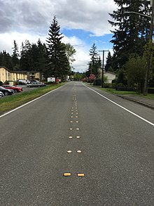 A two-way dotted yellow road lane in the US Road with Lane Lines.jpeg
