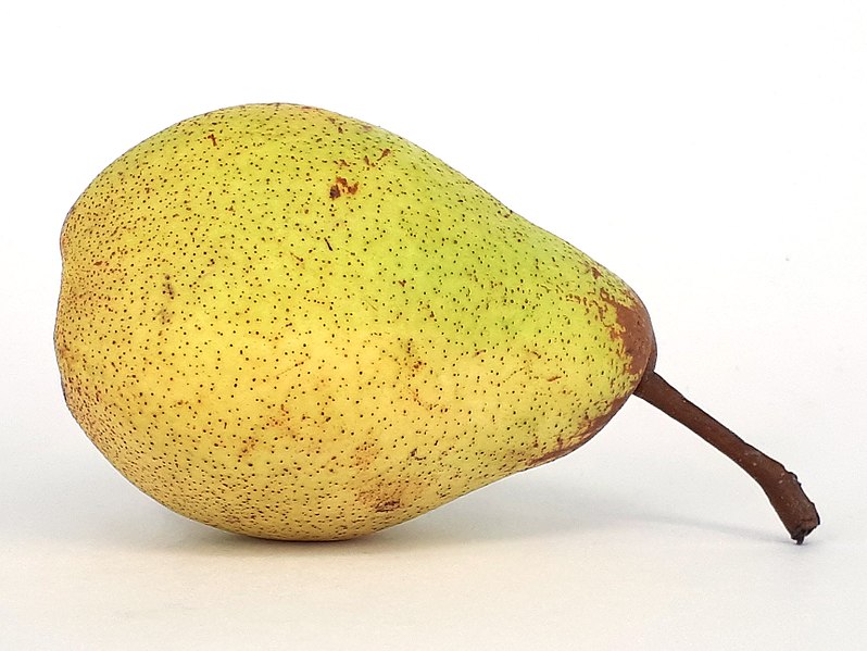 File:Rocha Pear 2017 B2.jpg