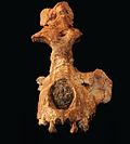 SGS-UM 2009-002, holotipo de Saadanius hijazensis fue un primate de hace más de 28 millones de años que habitó la península arábica.