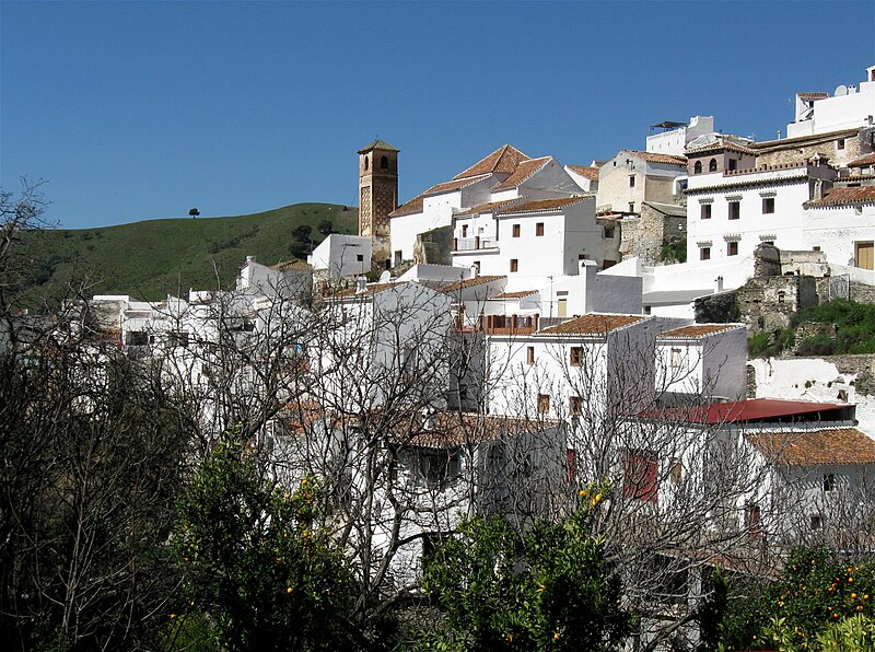 File:Salares Malaga-1.jpg