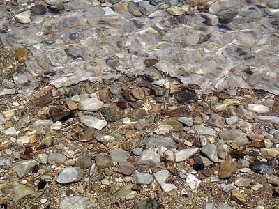 Còdols cimentats amb halita a la riba occidental de la mar Morta, a prop d'Ein Gedi