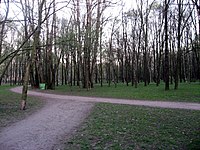 Sankt-Petěrburg, Parco Vitězství (2).jpg