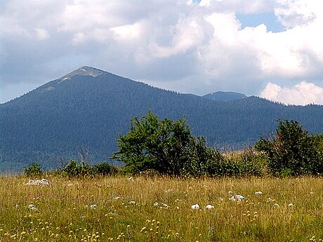 Šator (planina)