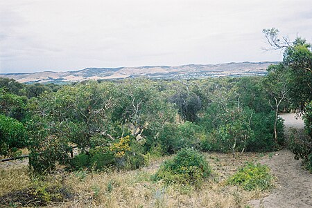 Sellicks range