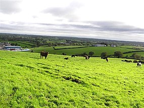 Shanmaghry Townland - geograph.org.uk - 253976.jpg