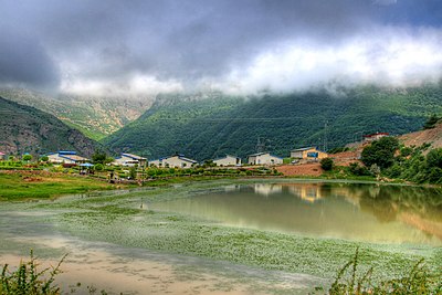 سیاه‌بیشه