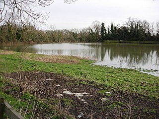 <span class="mw-page-title-main">Skaters' Meadow</span>