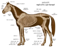 01:41, 27 மே 2012 இலிருந்த பதிப்புக்கான சிறு தோற்றம்