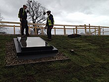 Sky Garden green roof installers putting the finishing touches to the sedum roof. Sky Garden National Star Green Roof.JPG