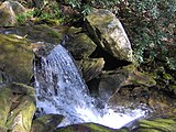 Snake-den-ridge-trail-gsmnp3.jpg