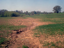 Tilled farmland such as this is very susceptible to erosion from rainfall, due to the destruction of vegetative cover and the loosening of the soil during plowing. Soil erosion at Hill Farm - geograph.org.uk - 1287527.jpg