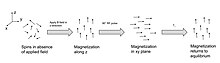 Diagram of changing magnetization and spin orientations throughout spin-lattice relaxation experiment Spin Orientations During Relaxation.jpg