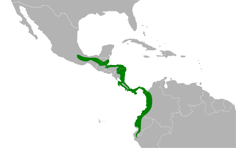 File:Sporophila corvina map.svg