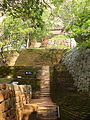 Escalier conduisant vers le sommet du rocher du Lion, Sigiriya.