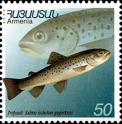På et armensk frimerke