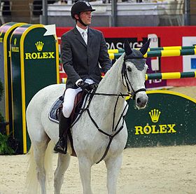 Un cavalier sur son cheval blanc est à l'arrêt. En arrière plan, un obstacle de type oxer.