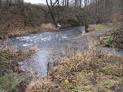 Steinbach-Mündung in Ennepe