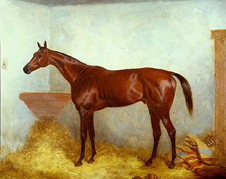 <span class="mw-page-title-main">Sterling (horse)</span> British-bred Thoroughbred racehorse