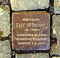 wikimedia_commons=File:Stolperstein_Elly_Ortmann_-_Aachen_(2).JPG