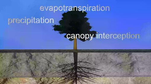Dosya: trees.webm ile Yağmur Suyu Yönetimi