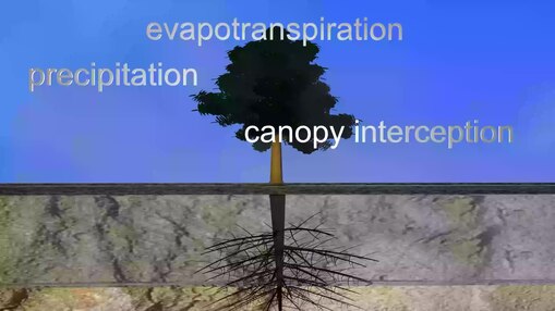 Archivo: Gestión de aguas pluviales con trees.webm