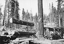 Sugar Pine Lumber Company - Wikipedia