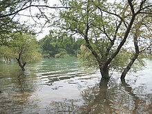 Tanda lake in monsoon