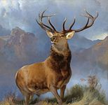 The Monarch of the Glen (1849-1851), National Galleries of Scotland