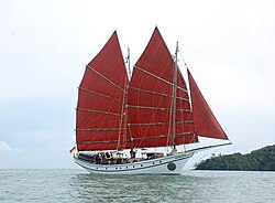 The Naga Pelangi, a 22 m (LOD) pinas built in 2009 on Pulau Duyong, sailing in Langkawi 2010 The Naga Pelangi under full canvas.JPG