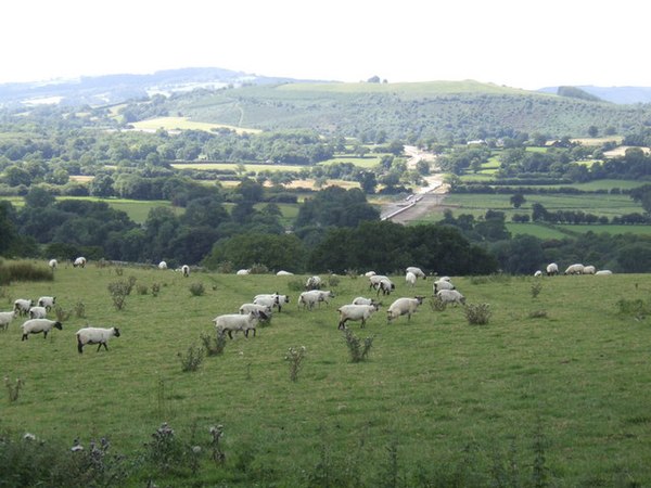 Towy Valley