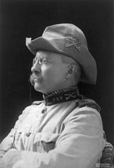 Governor Theodore Roosevelt of New York