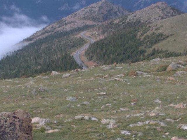 View of US 34 in Rocky Mountain National Park, from an elevation above 11,000 feet (3,400 m)