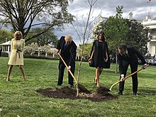 Trump and Macron plant a tree.jpg