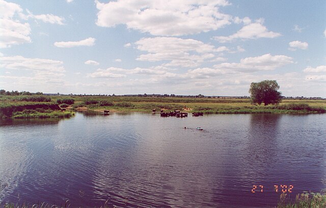 The Shosha River in Turginovo.
